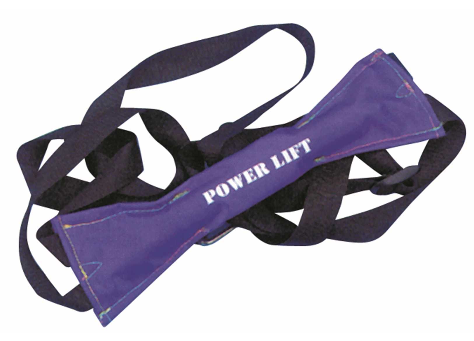 Image Motor Lift Harness