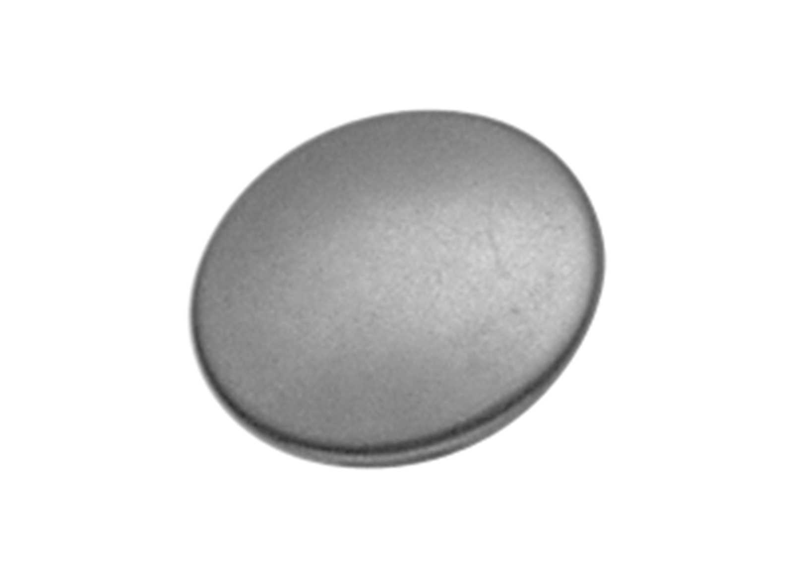 Image Testa Bottone in Acciaio Inox Cf 1000PZ