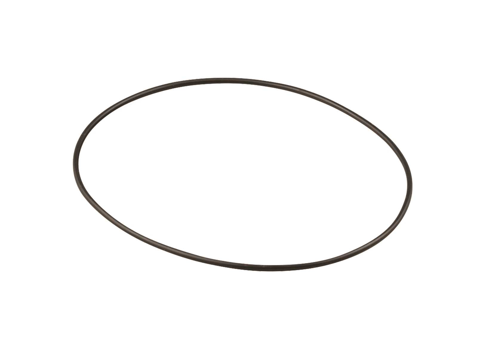 Image O-ring per Filtro Guidi Rg 1162/1164 &Oslash;111mm