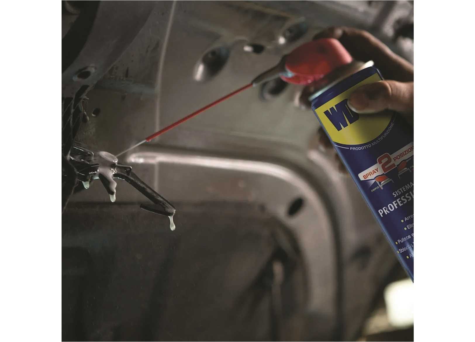 WD-40 Professional Spray 250ML-img5706412_.jpg