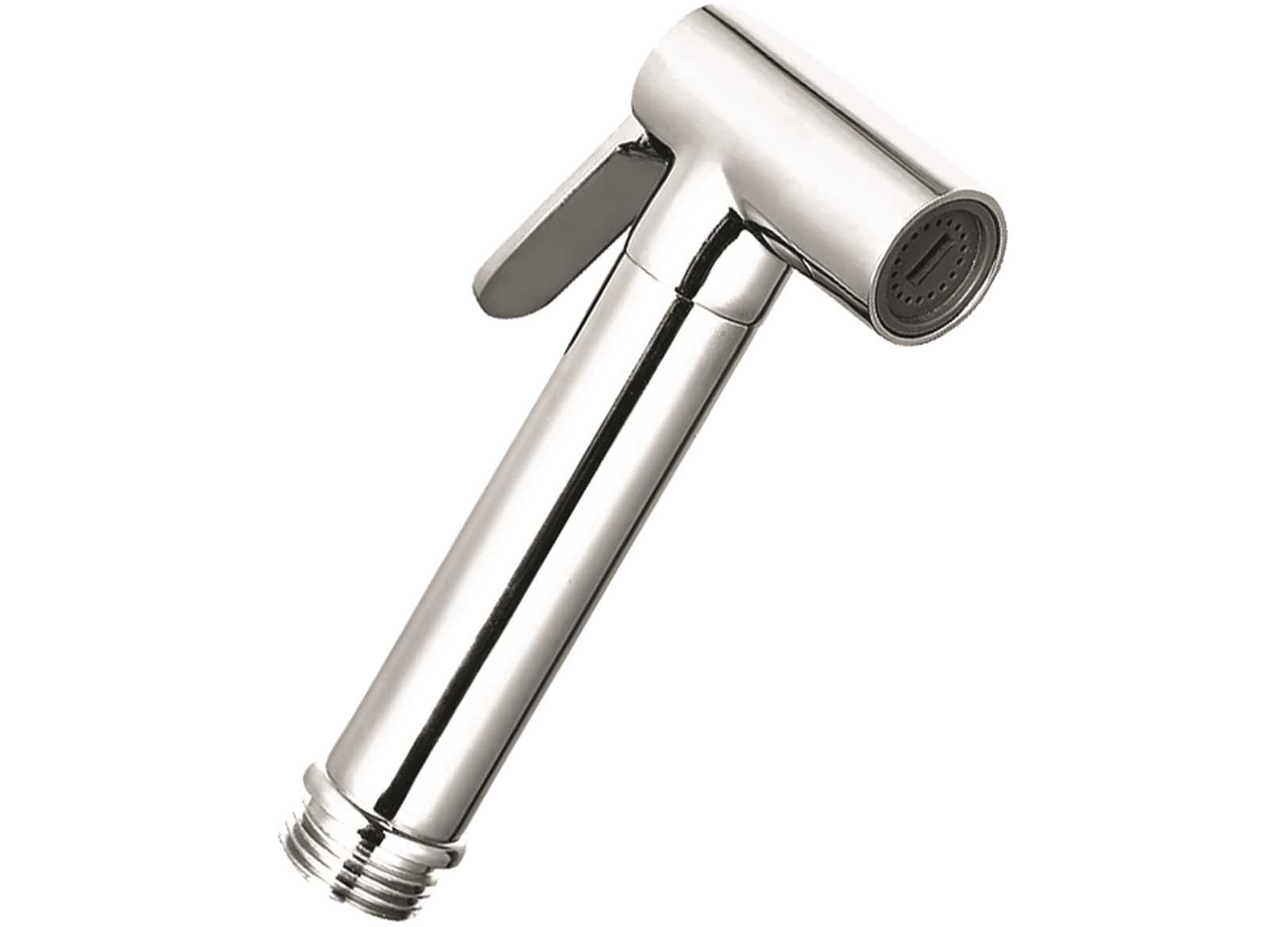 Image Chromed Brass Mira Shower Head