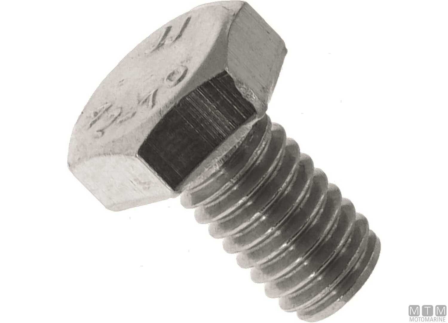 Image Bullone Blocco Motore MTM Ref Yamaha 97095-06010