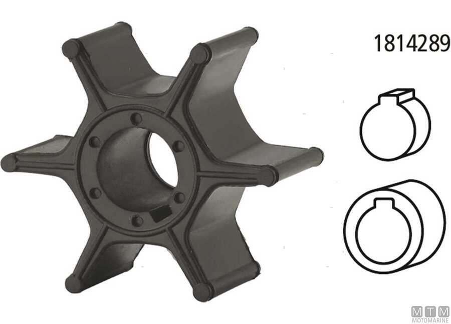 Giranti per Motori Johnson / Evinrude-img1814314_47.jpg