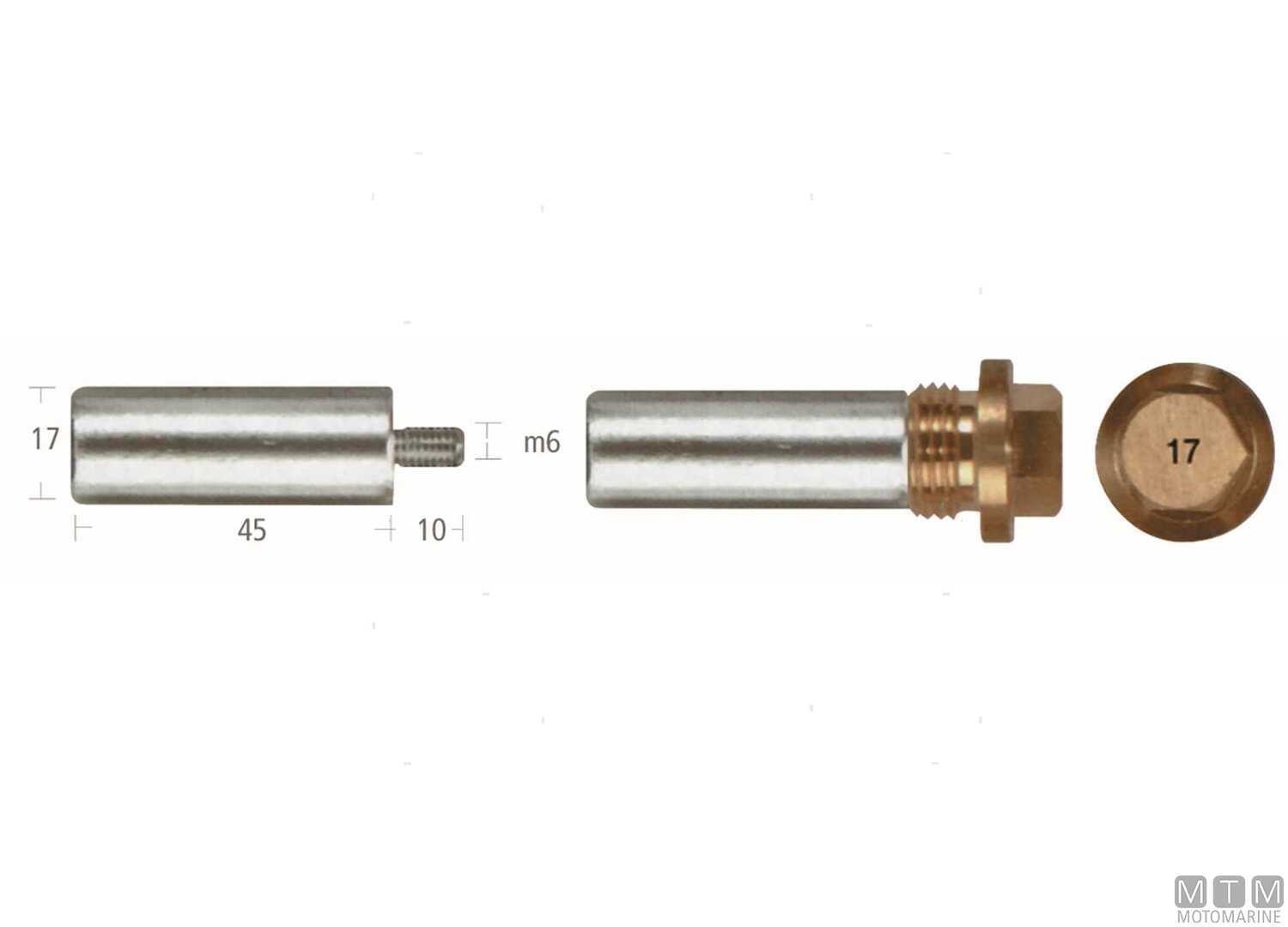 Image Anodo Barrotto Scania in Zinco