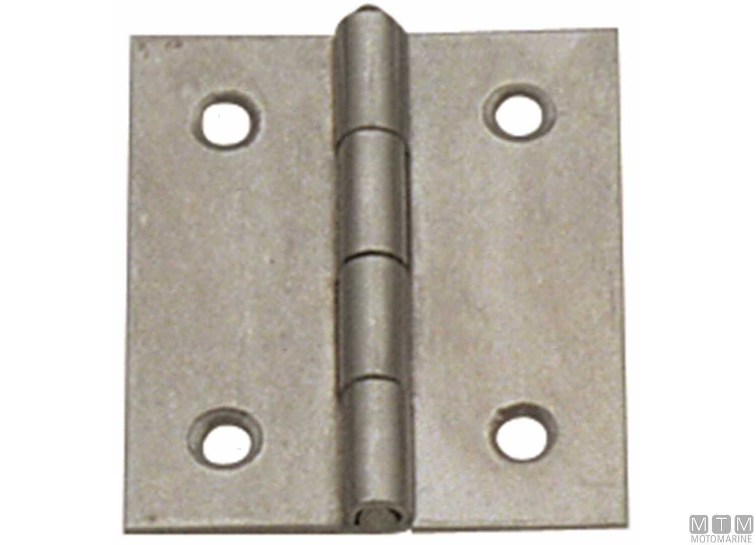 Image Thin Stainless Steel 316 Butt Hinge 30x25mm