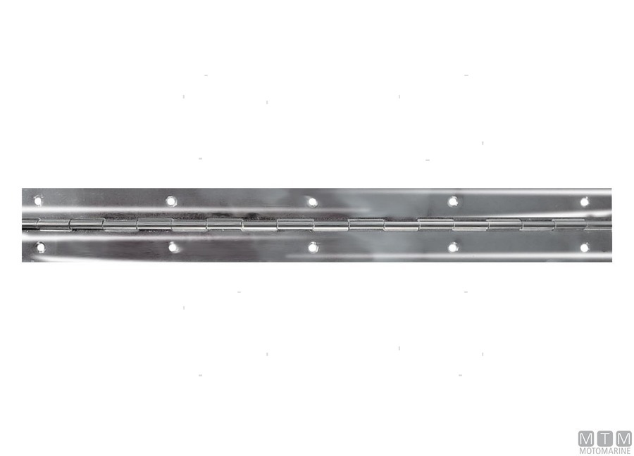 Cerniere Inox a Metro-img0420025_2.jpg