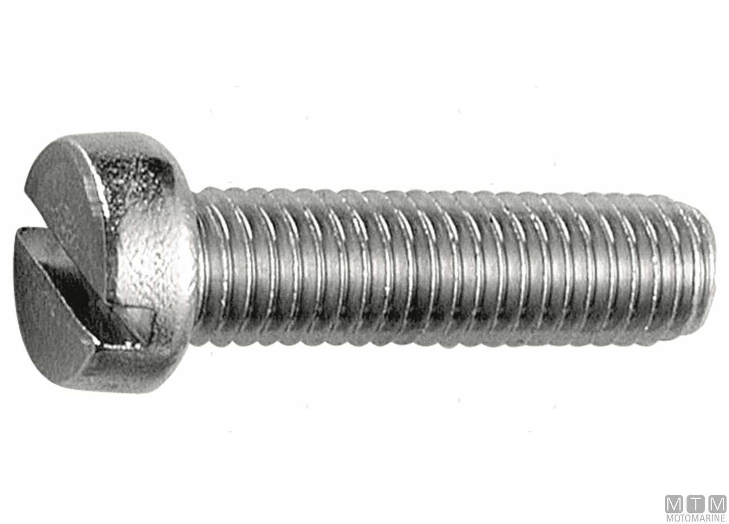 Image Viti Testa Cilindrica DIN84 Inox A2 m3x14 100PZ