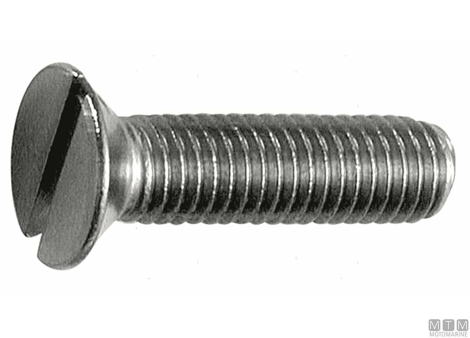 Image Viti Testa Svasata Piana DIN963 Inox A2 m3x14 100PZ