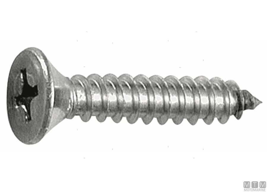 Flat Head Phillips Tapping Screws DIN 7982-img607982290910.jpg