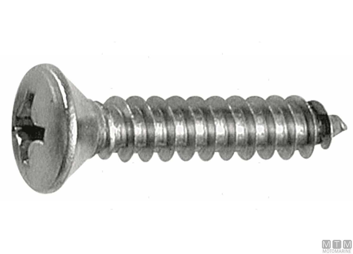 Image Viti Autofilettanti DIN7983 con Calotta Inox A2 2.9x9.5 100PZ