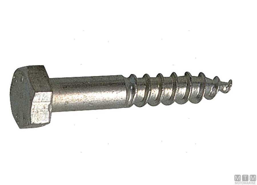 Tirafondi Testa Esagonale UNI 704 DIN 571-img615710063002.jpg