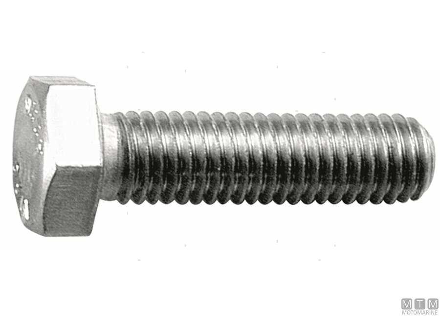 Viti Testa Esagonale UNI 5739 DIN 933-img709330052010.jpg