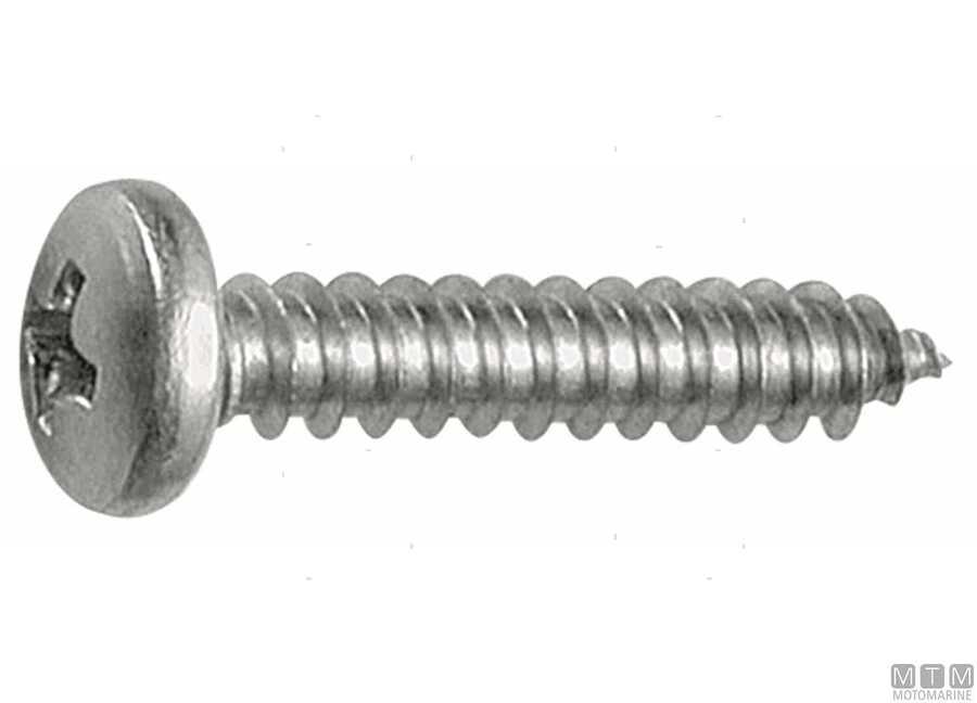Pan Head Phillips Tapping Screw DIN 7981-img707981351310.jpg