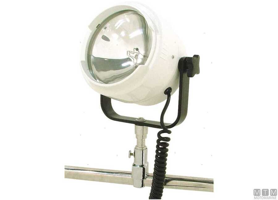 Faro White Eye-img2121014_.jpg