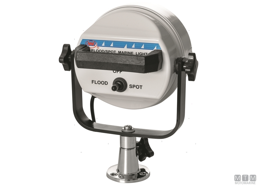 Faro White Eye-img2121014_2.jpg