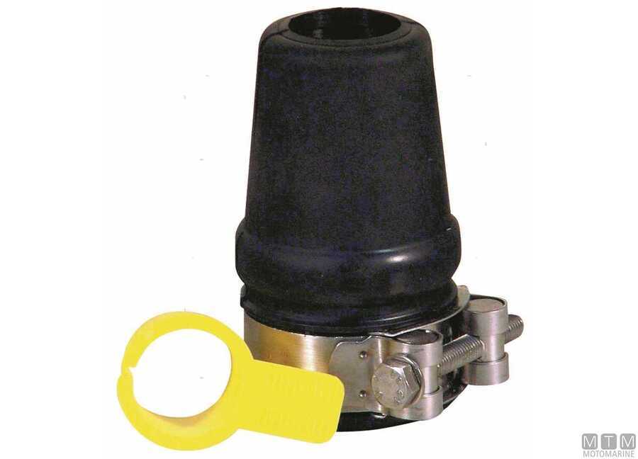 Stuffy Box Inches-img4900871.jpg