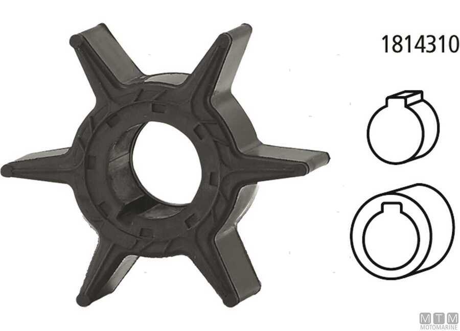 Giranti per Motori Selva-img1814201_23.jpg