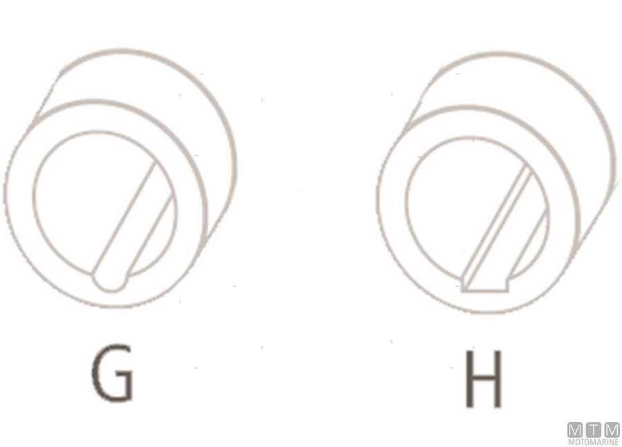 Giranti per Motori Selva-img1814201_28.jpg