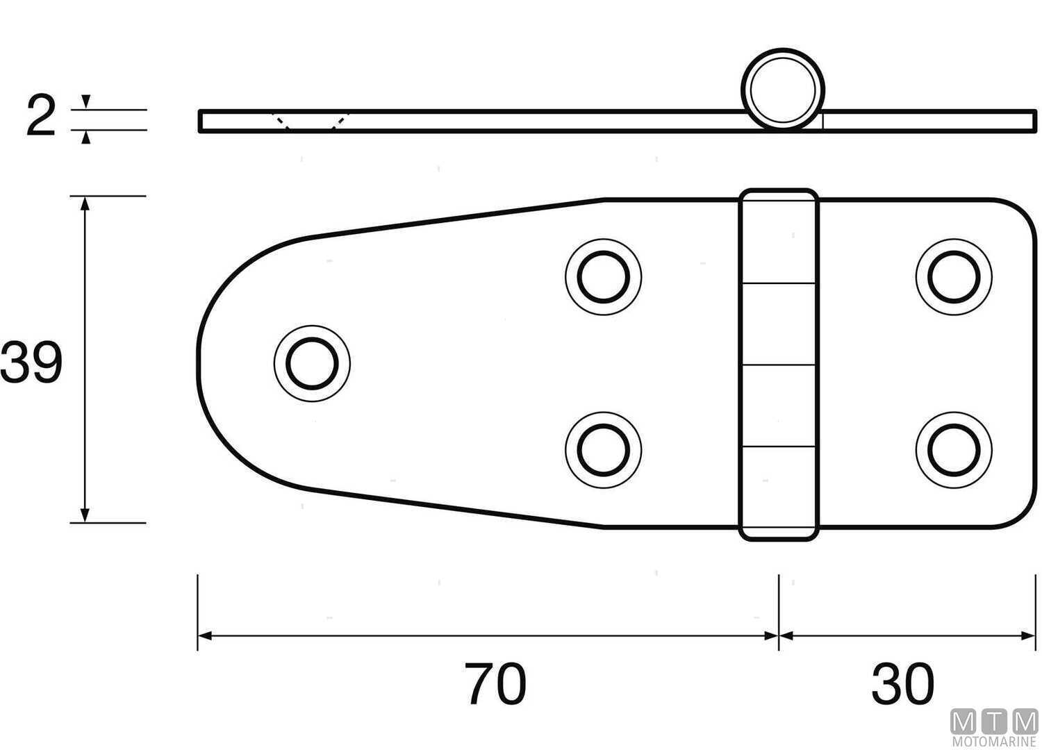 Cerniera Asimmetrica 39x100mm in Acciaio Inox 316-img0452512_.jpg
