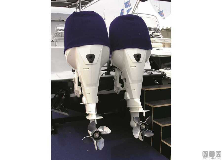 Coprimotore Fendboard-img3270801_3.jpg