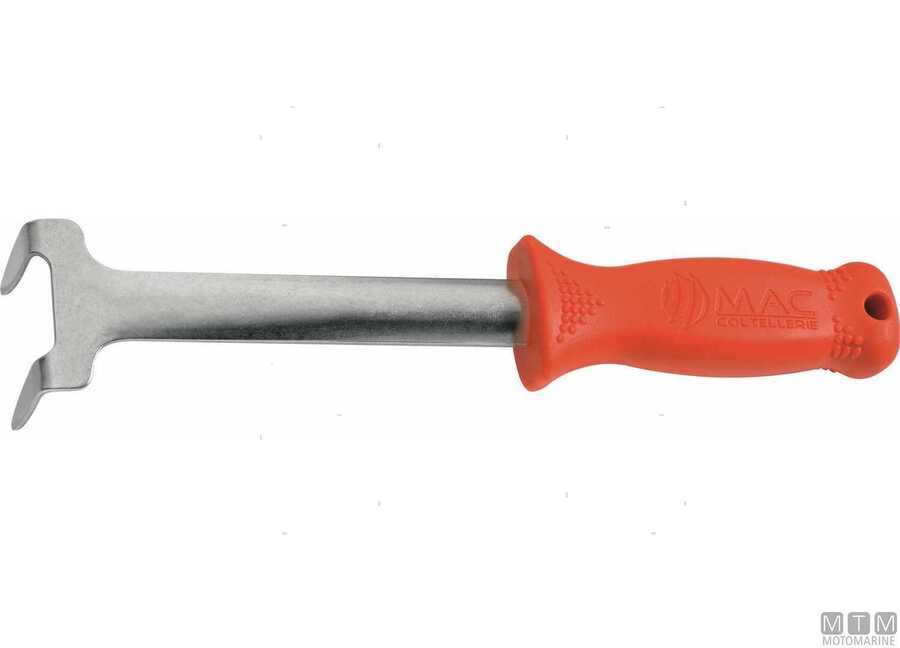 Cogli Ricci-img5830620.jpg