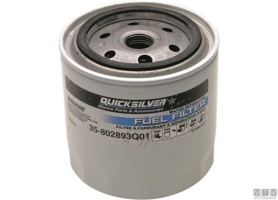 Cartuccia Quicksilver per Filtro 35-802893Q-4-img4121101_.jpg