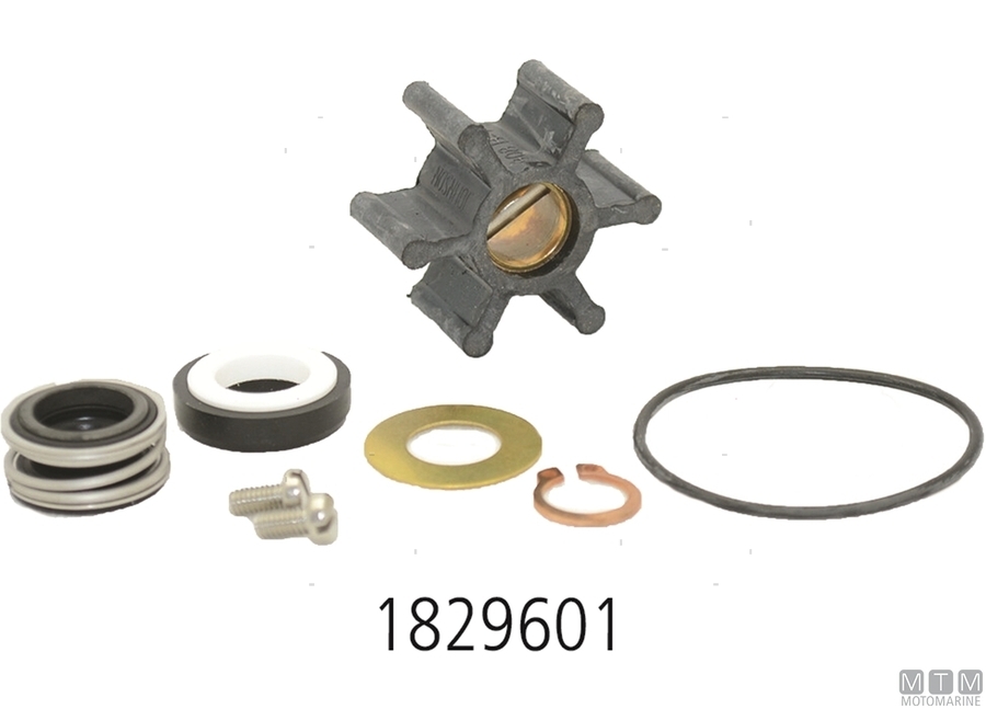 Service Kit per Pompe SPX Johnson -img1829601_.jpg