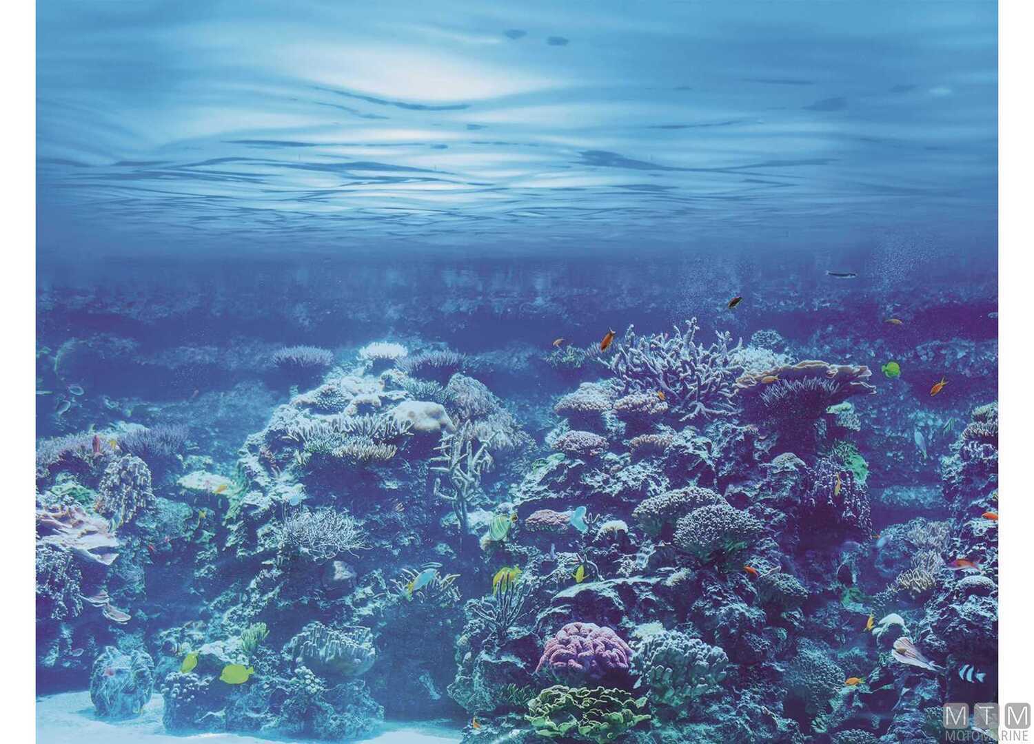 Coltello Mac Apnea 9-img5830008_1.jpg