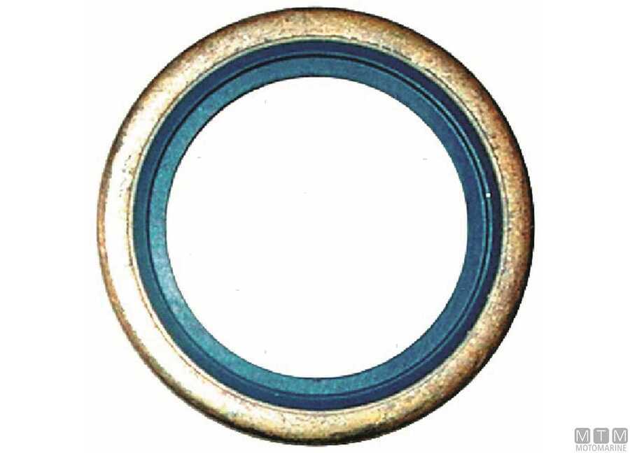 Rondelle Tenuta-img5355404.jpg