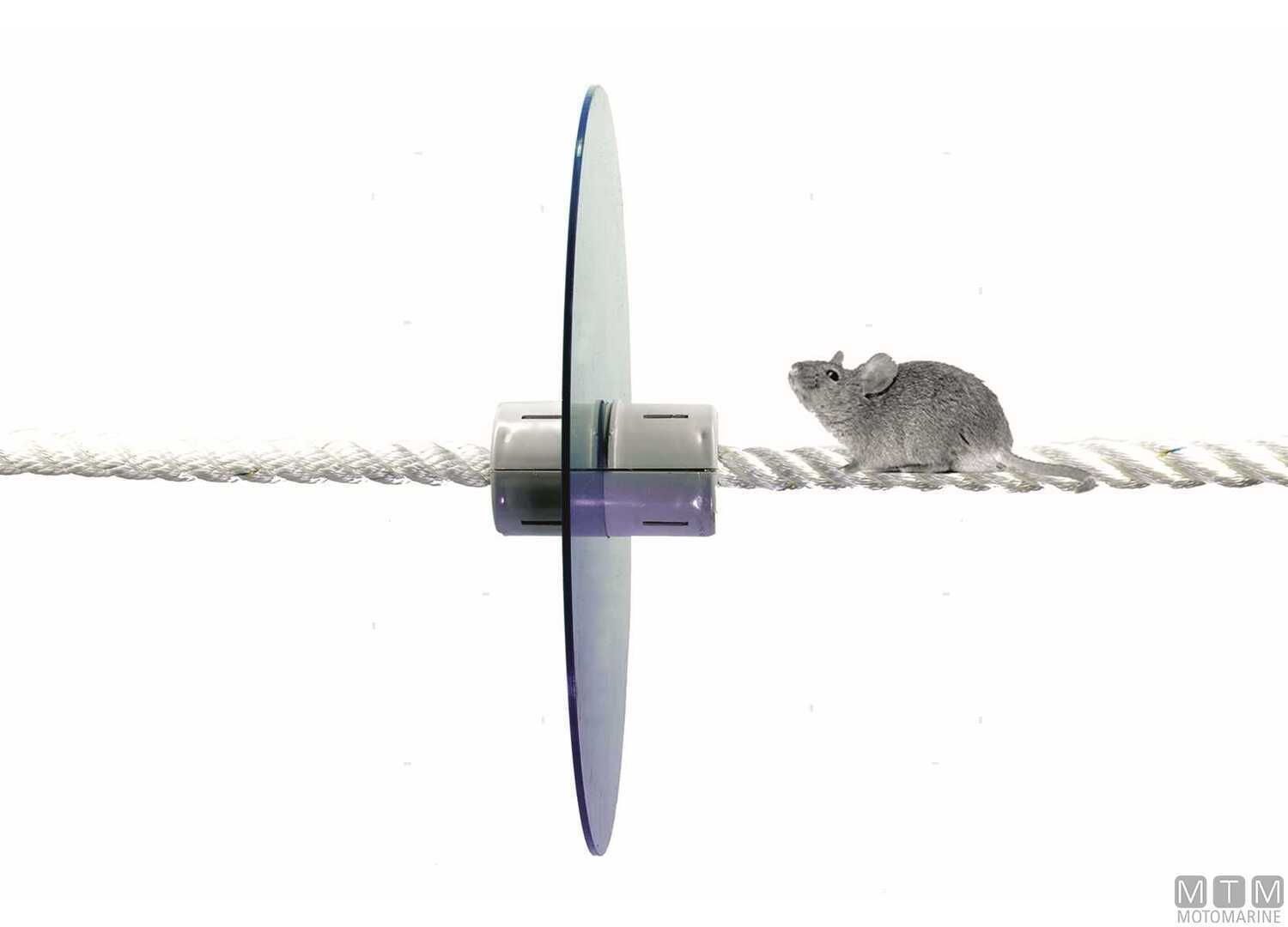 Disco Antiratto D10<>30MM-img3137115_2.jpg