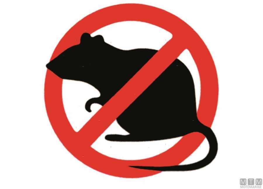 Disco Anti Ratto per Cime da 10 a 30 mm-img3137115_1.jpg