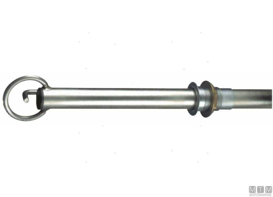 Asta Traino Sci-img3015010.jpg