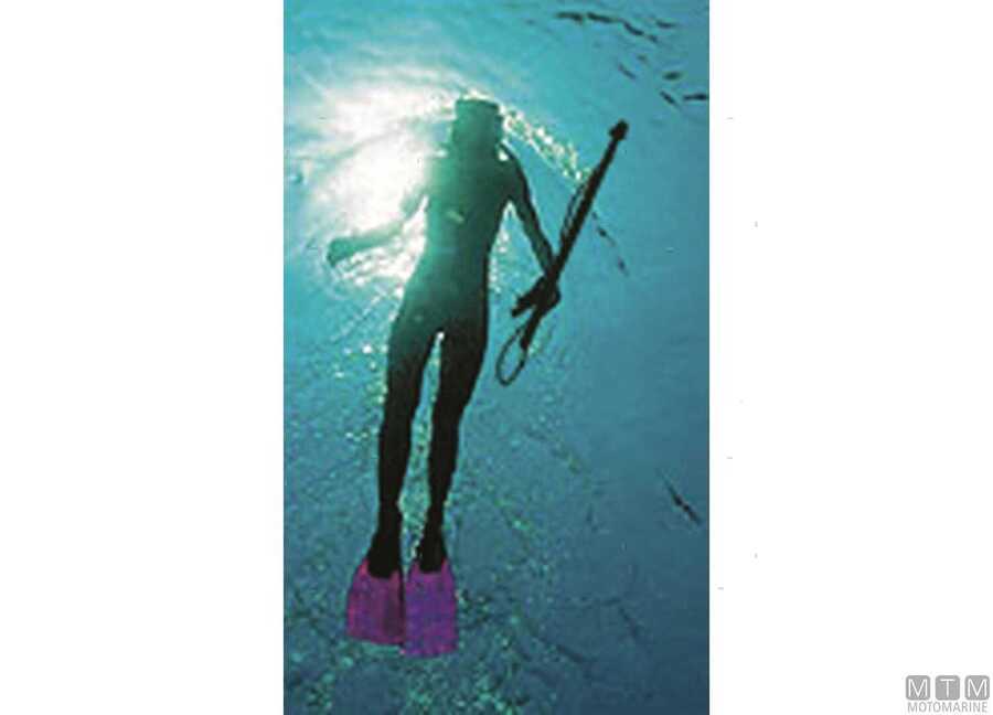 Bobinette Treccia per Fucili Subacquei -img3104215_.jpg