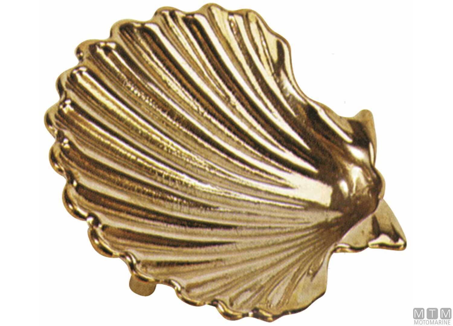 Image Posacenere Shell