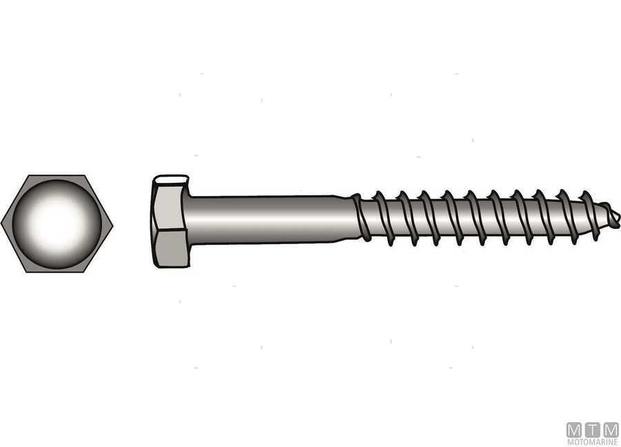 Viti Legno Testa Esagonale DIN 571 Inox-img75716030_1.jpg