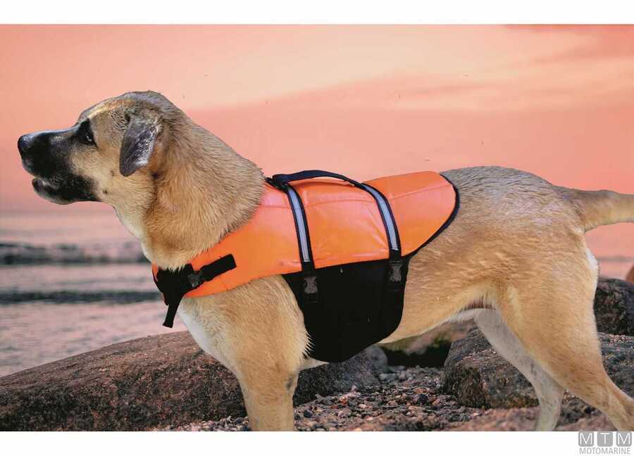 Cintura di Salvataggio Pet-img3014000_2.jpg