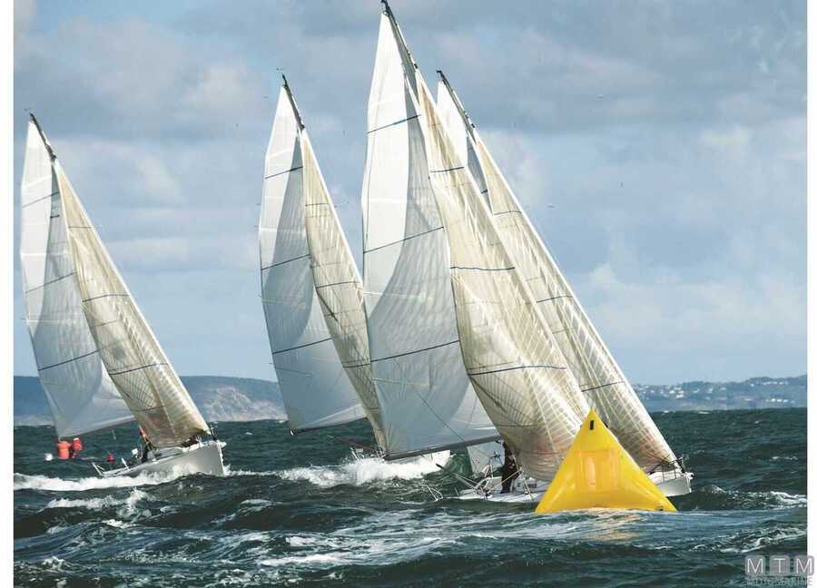 Boa Segnaletica Triangolare Gigante-img3821215_5.jpg