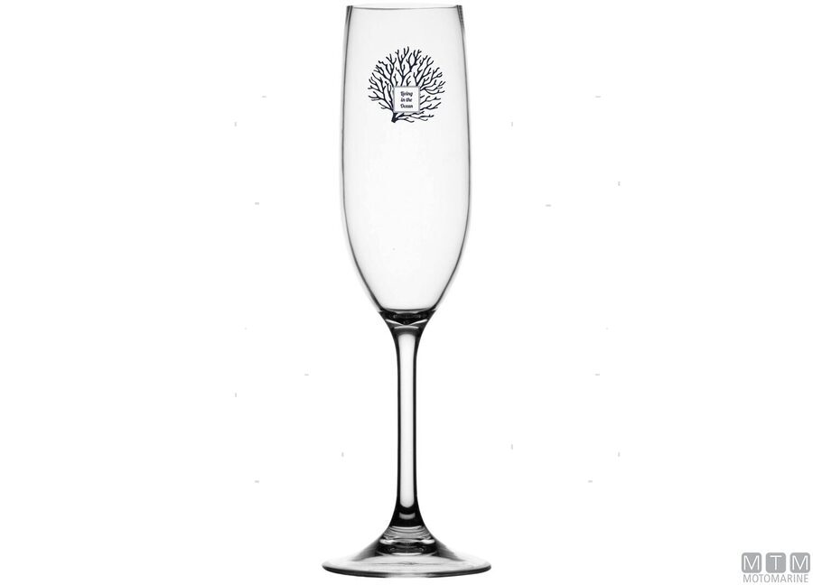 Calice Champagne-img5801479.jpg