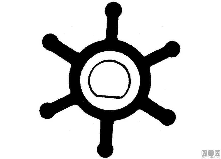 Impeller JABSCO 32MM-F6-img1815038.jpg