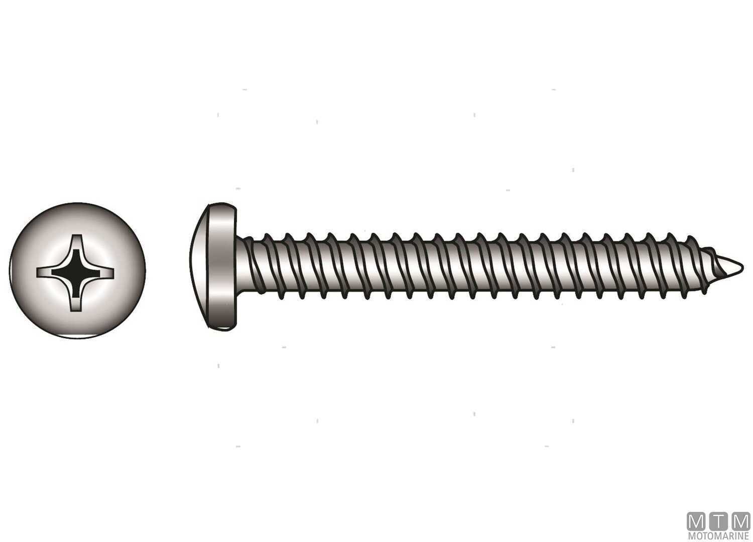 Viti Autofilettanti Testa Cilindrica DIN7981 Inox A4 4.8x45 8PZ-img798129009_.jpg