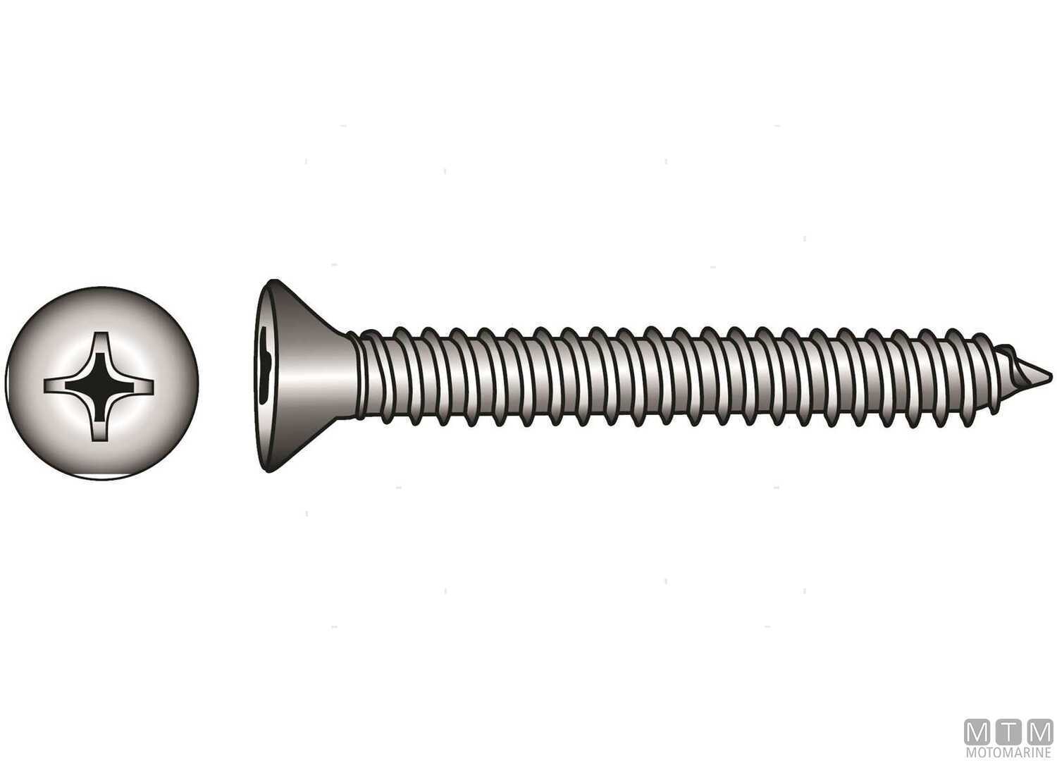 Viti Autofilettanti Testa Piana DIN7982 Inox A4 2.9x16 20PZ-img798229009_.jpg