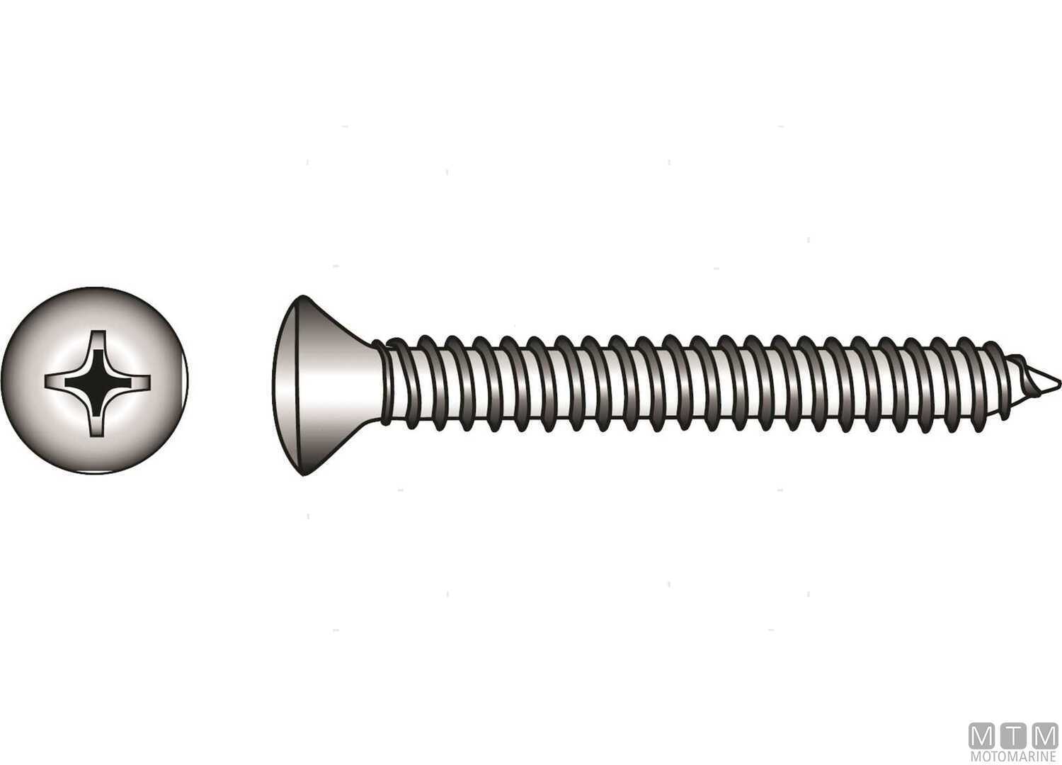 Viti Autofilettanti con Calotta DIN7983 Inox A4 2.9x9.5 20PZ-img798329009_.jpg