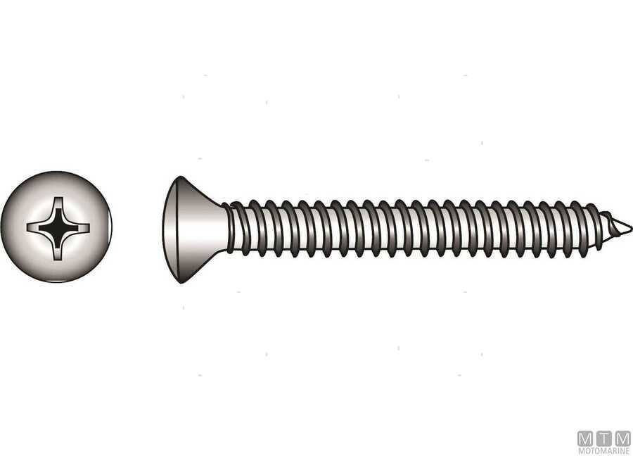 Viti Autofilettanti Testa Svasata con Calotta DIN 7983-img798329009_.jpg