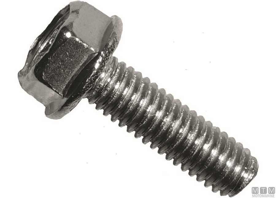 Bulloni e Dadi per Motori Mercury/Mercruiser-img4862058_1.jpg