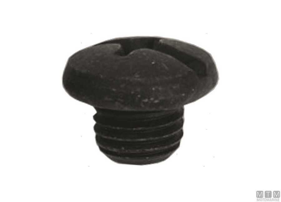 Vite Scarico Olio per Motori Suzuki-img4864002.jpg