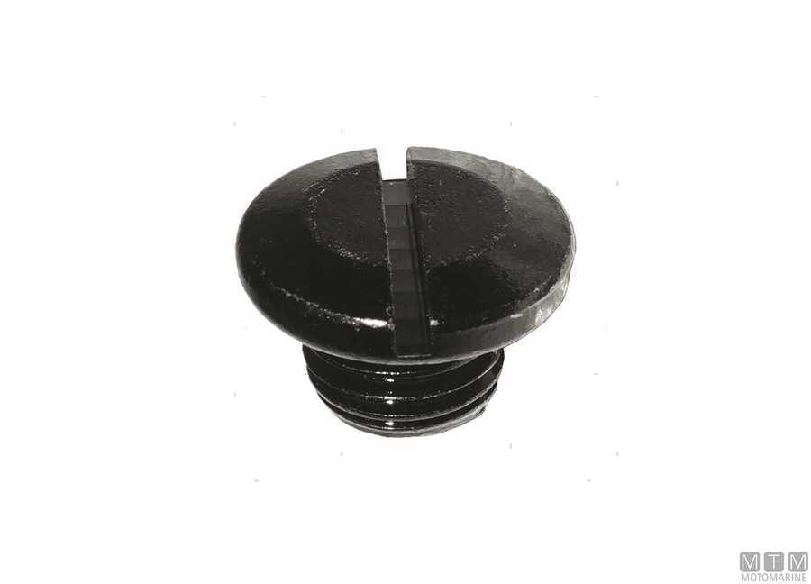 Vite Scarico Olio per Motori Suzuki-img4864002_.jpg