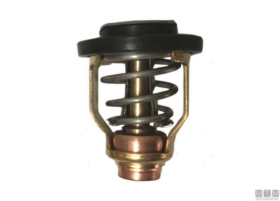 Termostato per Motori Suzuki-img4864025.jpg