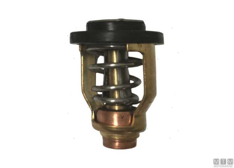 Termostato per Motori Suzuki-img4864025_.jpg