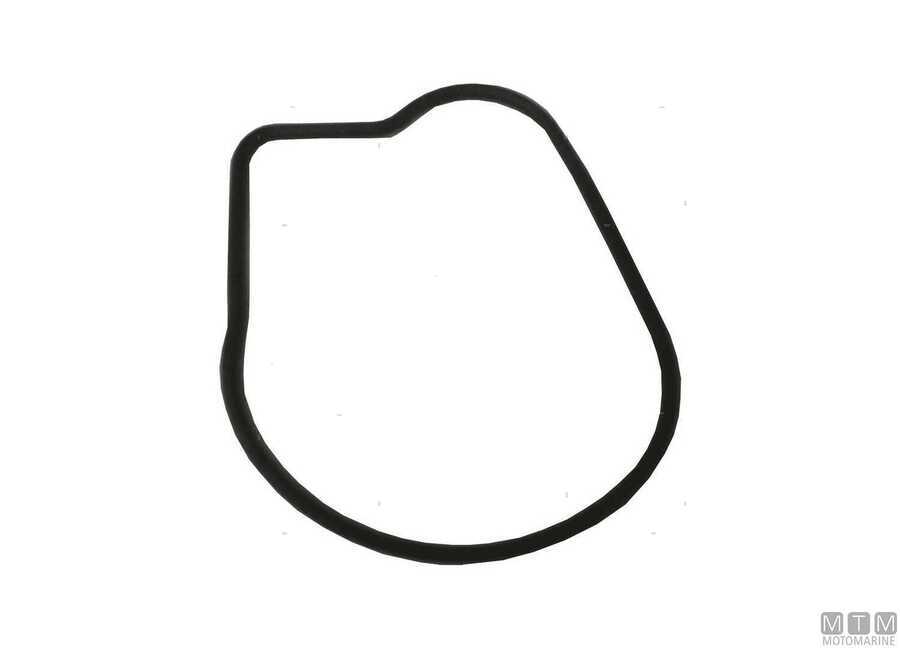 Pump/Lower Unit Gaskets for Honda Engines-img4864403_.jpg