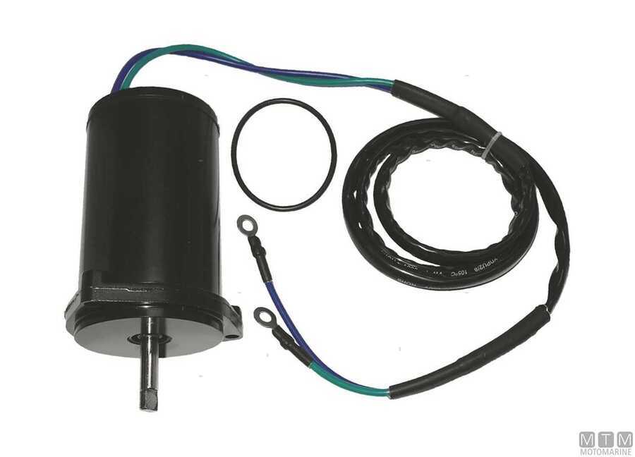 Motorino Trim per Motori Yamaha-img4864917.jpg